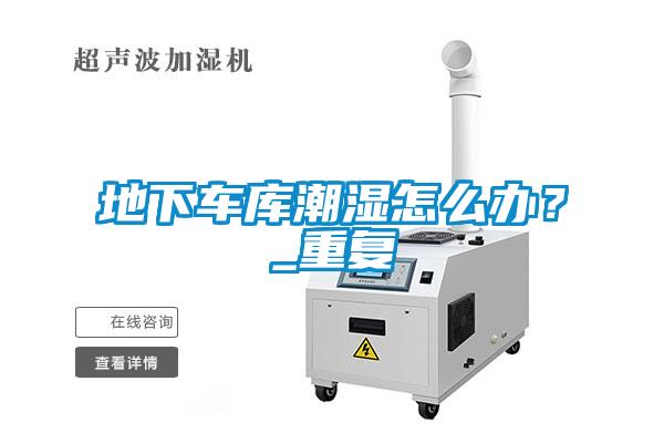 地下車(chē)庫(kù)潮濕怎么辦？_重復(fù)