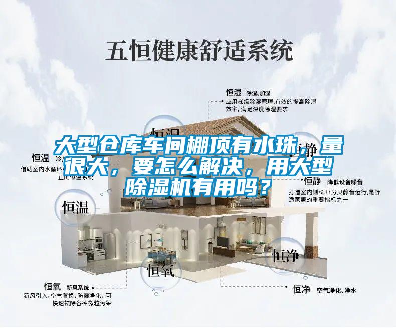 大型倉庫車間棚頂有水珠，量很大，要怎么解決，用大型除濕機(jī)有用嗎？