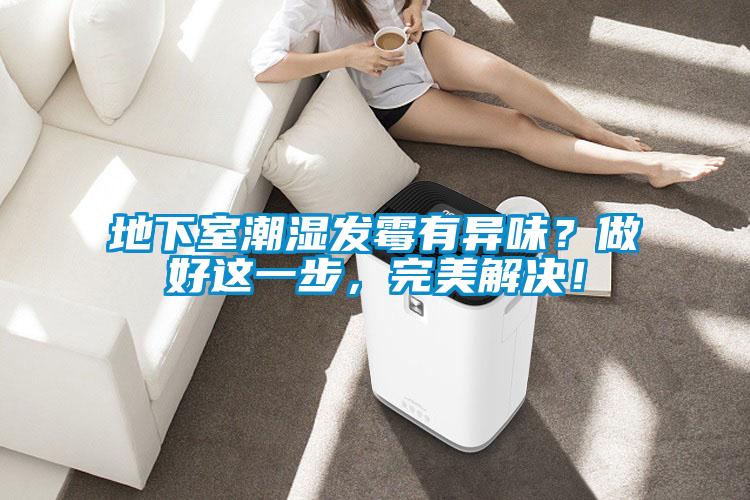 地下室潮濕發(fā)霉有異味？做好這一步，完美解決！
