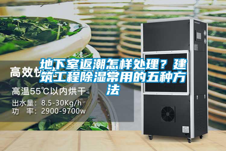地下室返潮怎樣處理？建筑工程除濕常用的五種方法