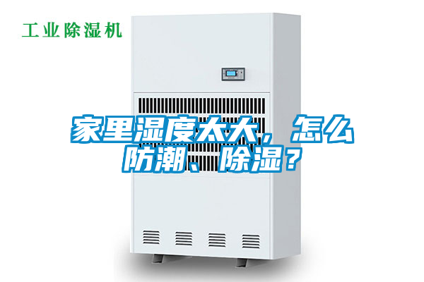 家里濕度太大，怎么防潮、除濕？