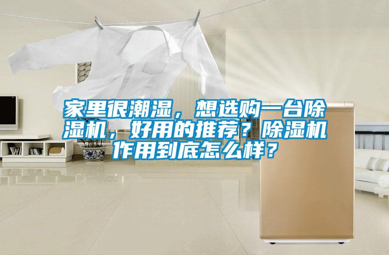 家里很潮濕，想選購一臺除濕機(jī)，好用的推薦？除濕機(jī)作用到底怎么樣？