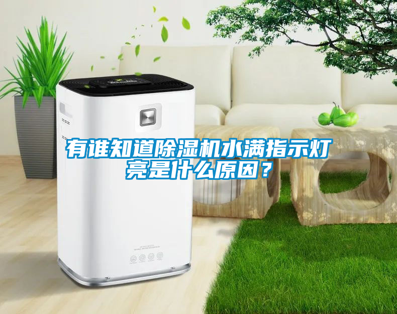 有誰知道除濕機水滿指示燈亮是什么原因？