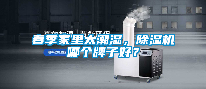 春季家里太潮濕，除濕機哪個牌子好？