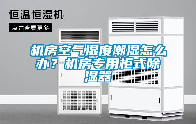 機房空氣濕度潮濕怎么辦？機房專用柜式除濕器