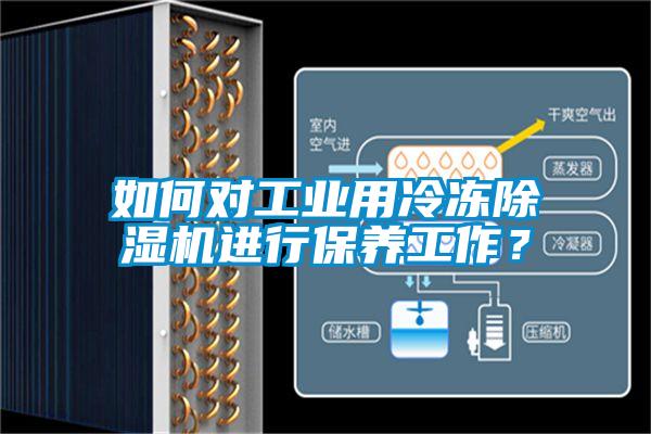 如何對(duì)工業(yè)用冷凍除濕機(jī)進(jìn)行保養(yǎng)工作？