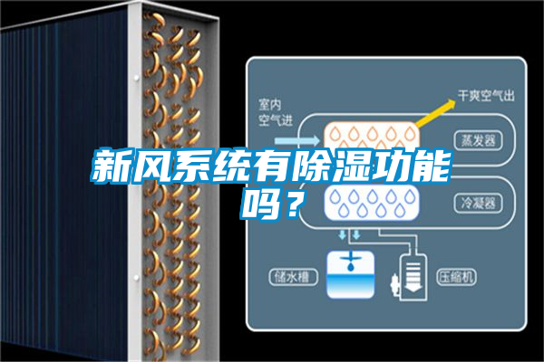 新風系統(tǒng)有除濕功能嗎？