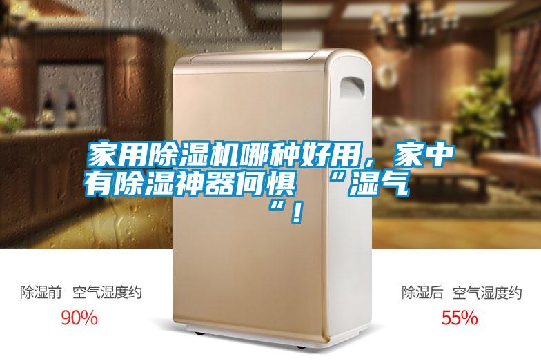 家用除濕機(jī)哪種好用，家中有除濕神器何懼 “濕氣 “！