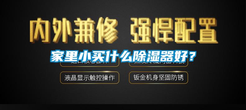 家里小買(mǎi)什么除濕器好?