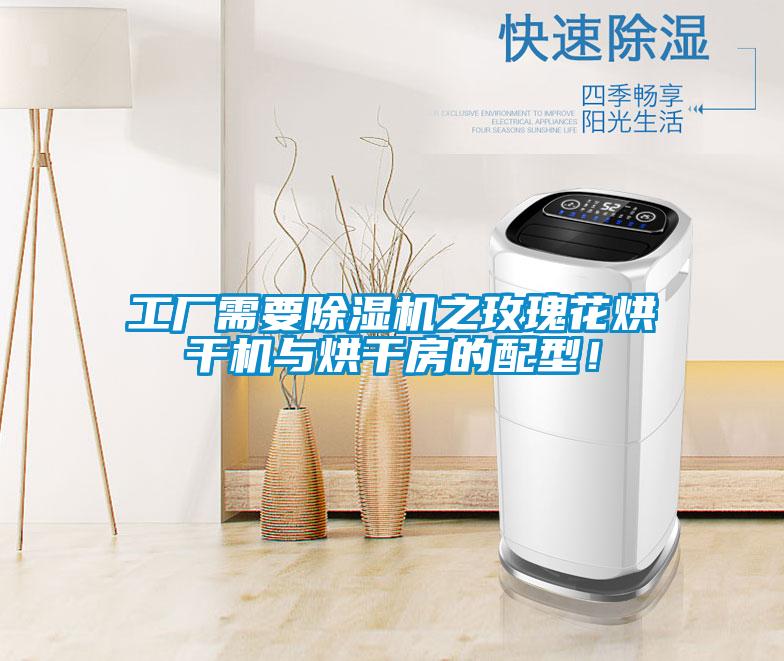 工廠需要除濕機之玫瑰花烘干機與烘干房的配型！