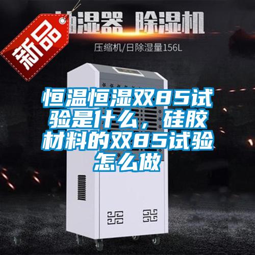 恒溫恒濕雙85試驗是什么，硅膠材料的雙85試驗怎么做