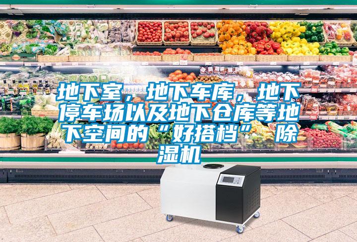 地下室，地下車庫(kù)，地下停車場(chǎng)以及地下倉(cāng)庫(kù)等地下空間的“好搭檔” 除濕機(jī)