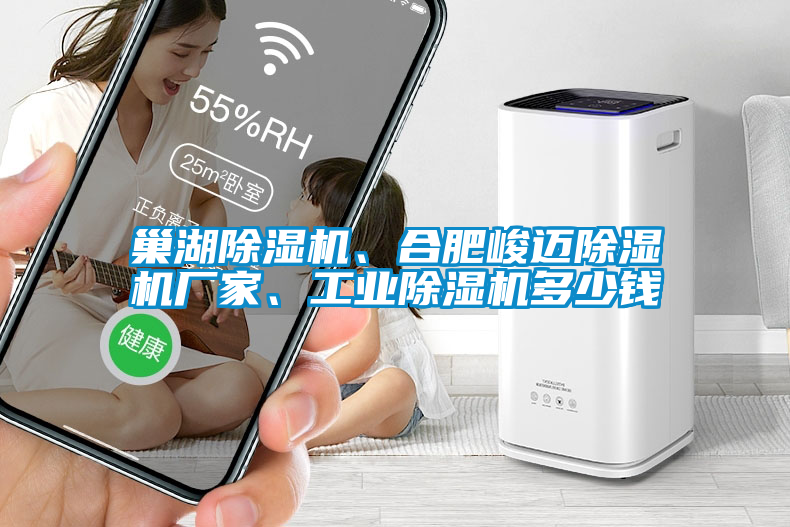 巢湖除濕機(jī)、合肥峻邁除濕機(jī)廠家、工業(yè)除濕機(jī)多少錢