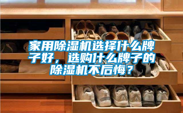 家用除濕機選擇什么牌子好，選購什么牌子的除濕機不后悔？