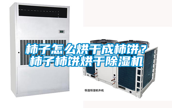 柿子怎么烘干成柿餅？柿子柿餅烘干除濕機(jī)