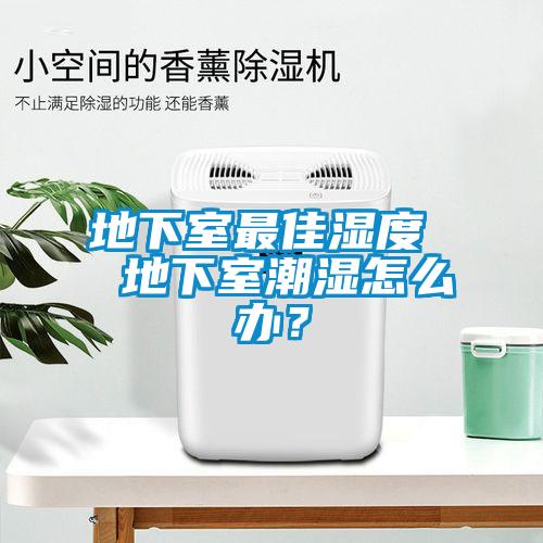 地下室最佳濕度  地下室潮濕怎么辦？