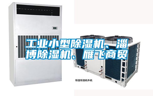 工業(yè)小型除濕機、淄博除濕機、雁飛商貿(mào)