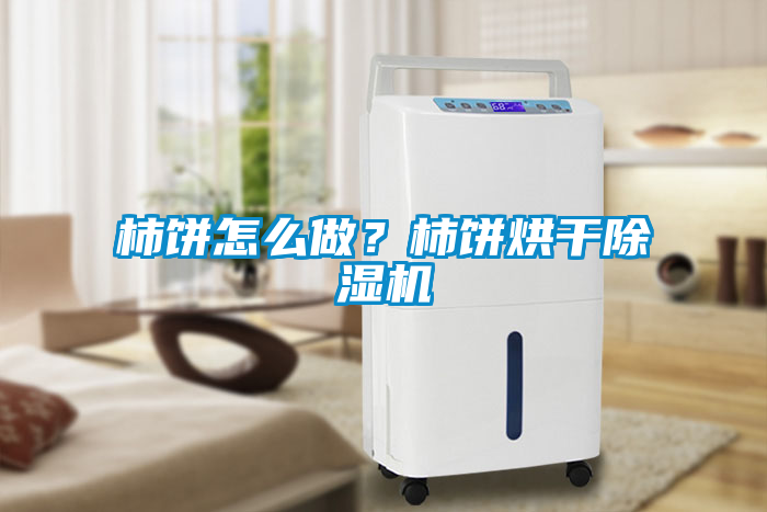 柿餅怎么做？柿餅烘干除濕機(jī)
