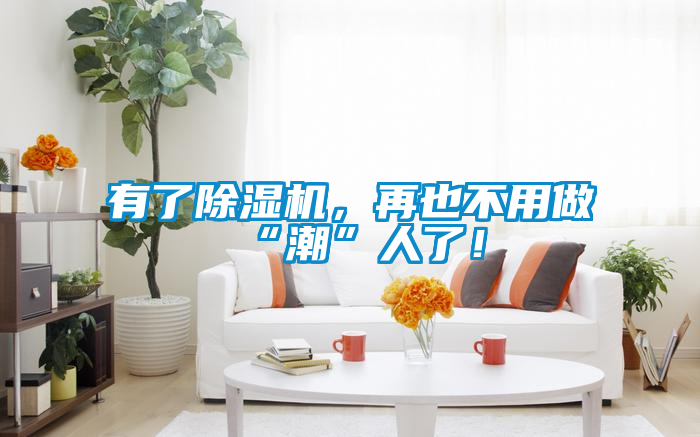 有了除濕機，再也不用做“潮”人了！