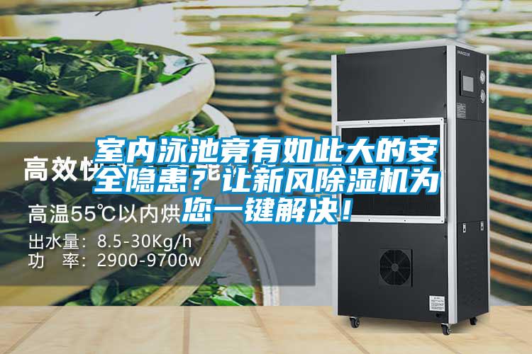 室內(nèi)泳池竟有如此大的安全隱患？讓新風(fēng)除濕機(jī)為您一鍵解決！