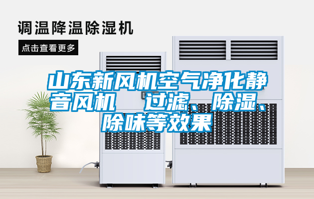 山東新風(fēng)機空氣凈化靜音風(fēng)機  過濾、除濕、除味等效果