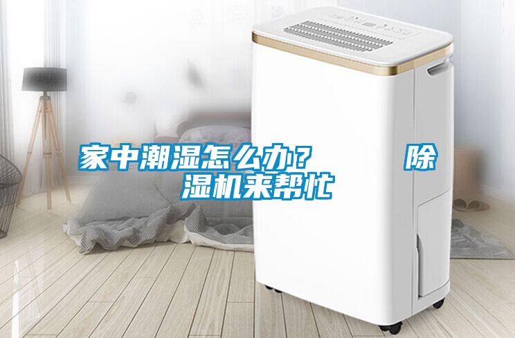 家中潮濕怎么辦？    除濕機(jī)來幫忙