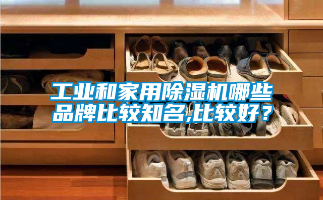 工業(yè)和家用除濕機哪些品牌比較知名,比較好？