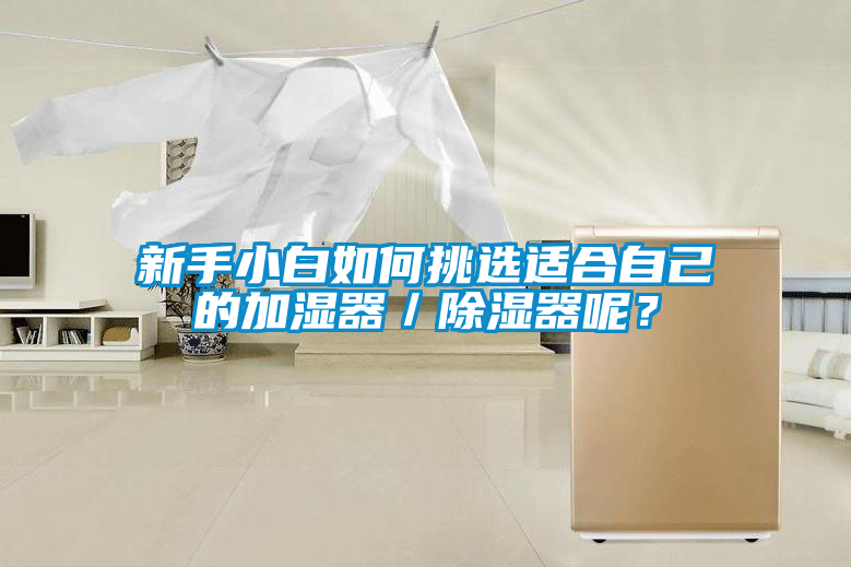新手小白如何挑選適合自己的加濕器／除濕器呢？