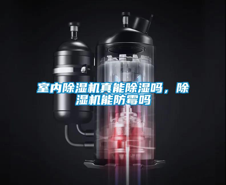 室內(nèi)除濕機(jī)真能除濕嗎，除濕機(jī)能防霉嗎