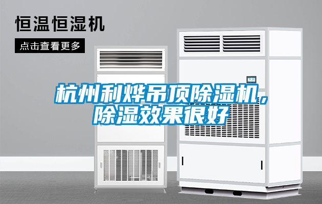 杭州利燁吊頂除濕機(jī)，除濕效果很好