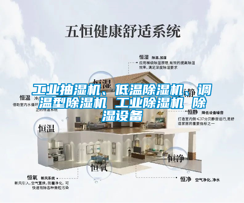 工業(yè)抽濕機(jī)、低溫除濕機(jī)、調(diào)溫型除濕機(jī) 工業(yè)除濕機(jī) 除濕設(shè)備