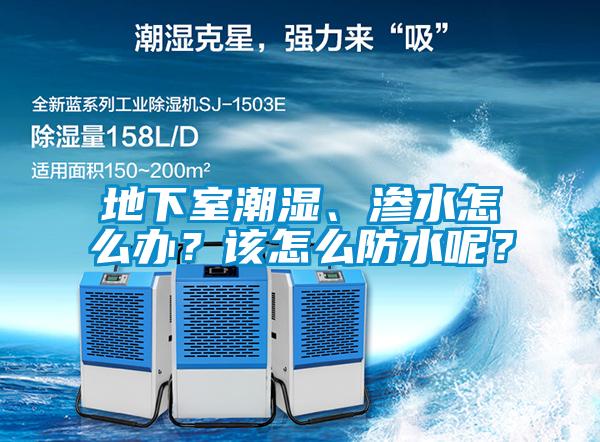地下室潮濕、滲水怎么辦？該怎么防水呢？