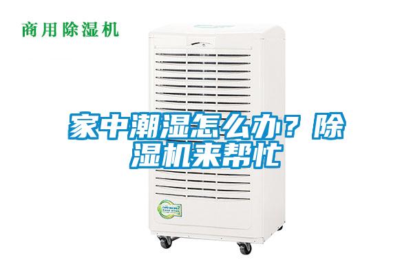 家中潮濕怎么辦？除濕機來幫忙