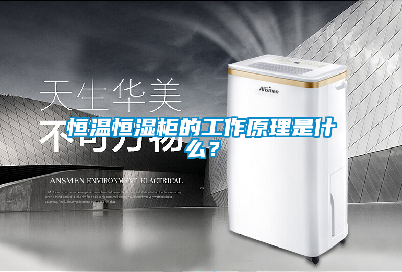 恒溫恒濕柜的工作原理是什么？