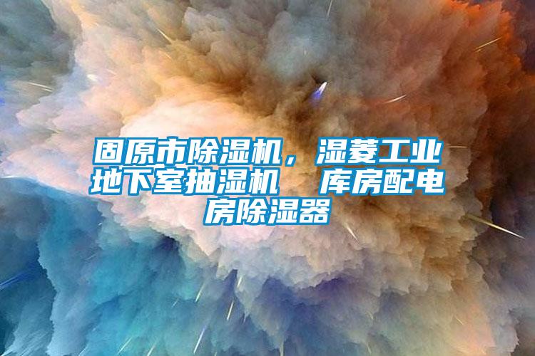 固原市除濕機，濕菱工業(yè)地下室抽濕機  庫房配電房除濕器