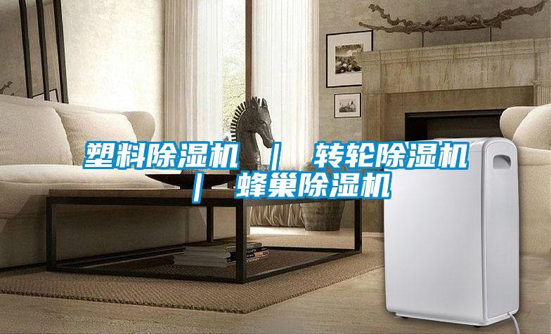 塑料除濕機(jī) | 轉(zhuǎn)輪除濕機(jī) | 蜂巢除濕機(jī)