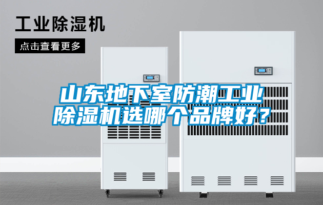 山東地下室防潮工業(yè)除濕機(jī)選哪個(gè)品牌好？