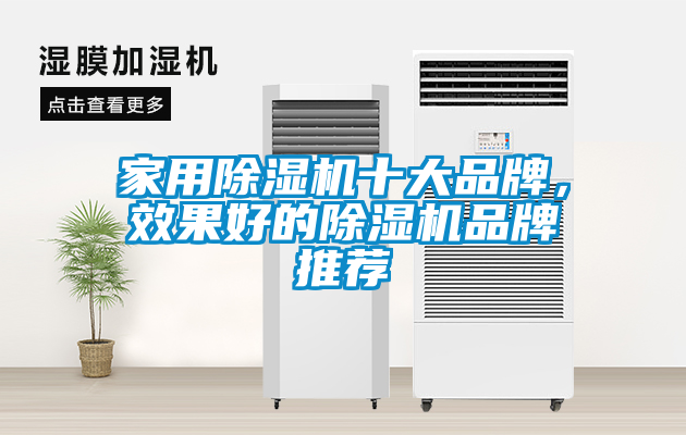 家用除濕機十大品牌，效果好的除濕機品牌推薦