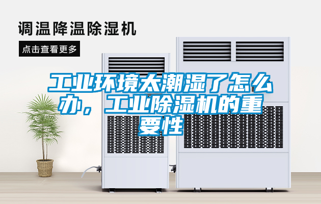 工業(yè)環(huán)境太潮濕了怎么辦，工業(yè)除濕機的重要性