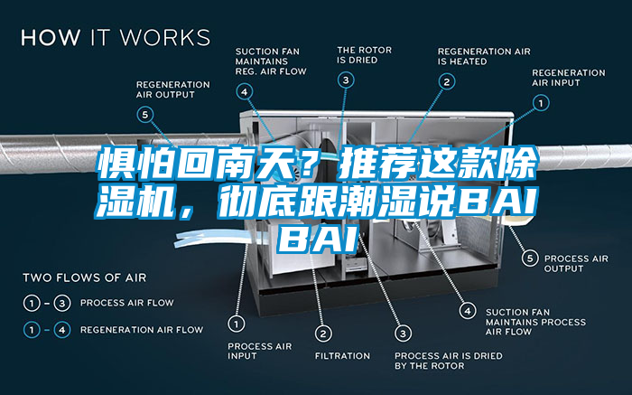 懼怕回南天？推薦這款除濕機，徹底跟潮濕說BAIBAI