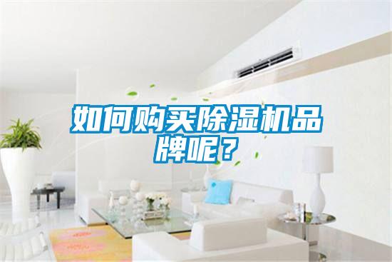 如何購買除濕機(jī)品牌呢？