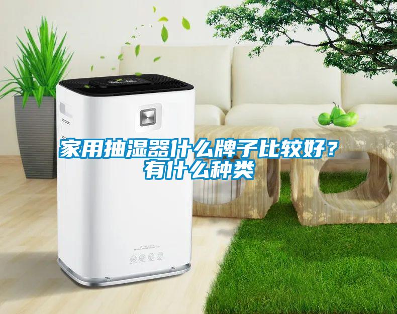 家用抽濕器什么牌子比較好？有什么種類