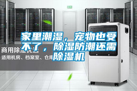 家里潮濕，寵物也受不了，除濕防潮還需除濕機(jī)
