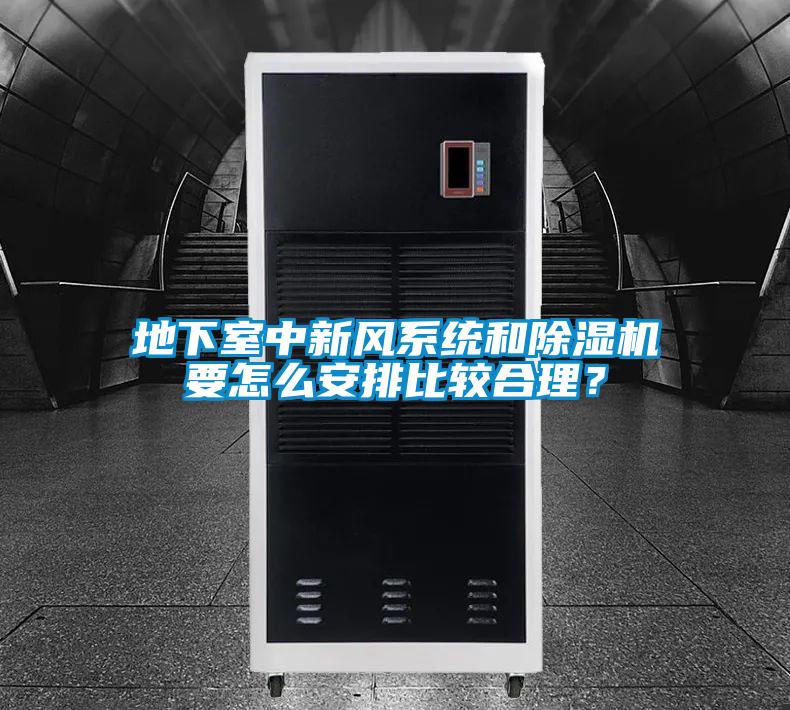 地下室中新風(fēng)系統(tǒng)和除濕機(jī)要怎么安排比較合理？