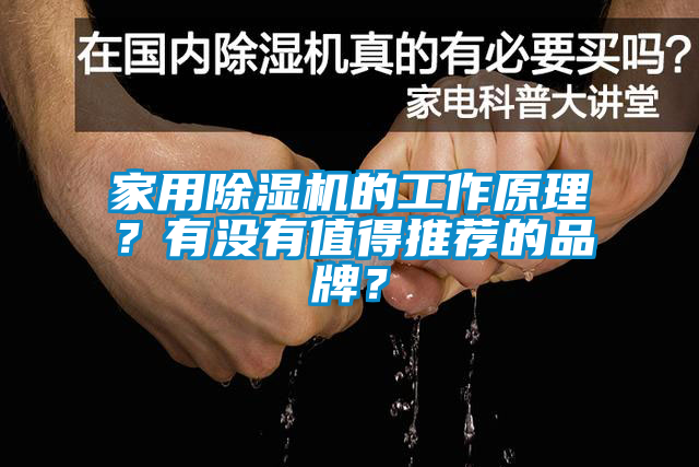 家用除濕機(jī)的工作原理？有沒有值得推薦的品牌？