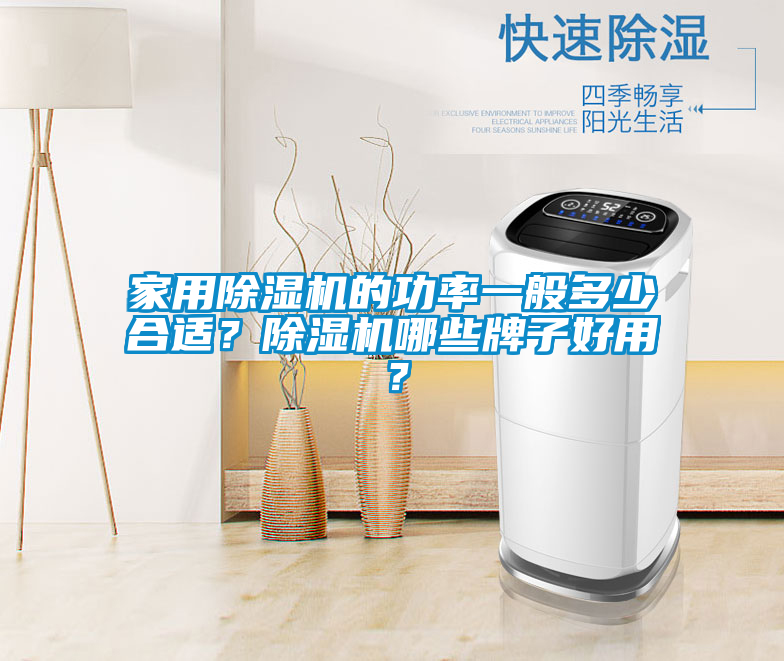 家用除濕機的功率一般多少合適？除濕機哪些牌子好用？