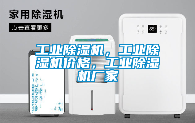 工業(yè)除濕機，工業(yè)除濕機價格，工業(yè)除濕機廠家