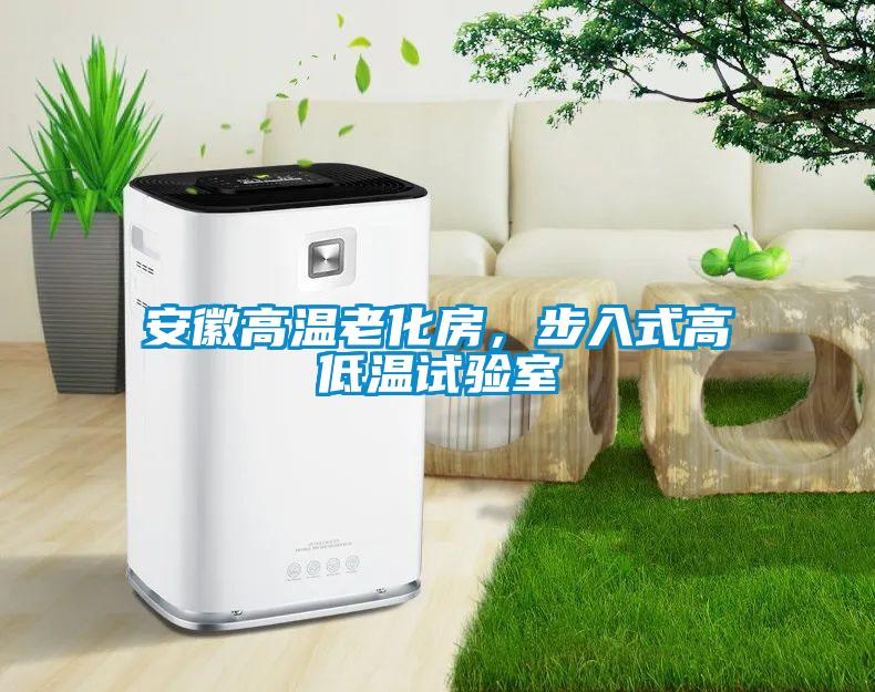 安徽高溫老化房，步入式高低溫試驗(yàn)室