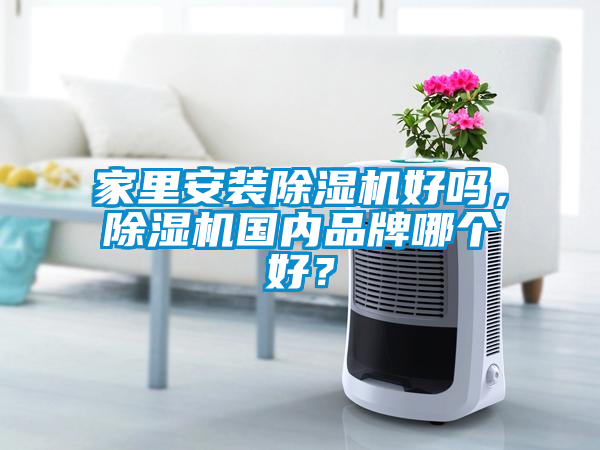 家里安裝除濕機好嗎，除濕機國內品牌哪個好？