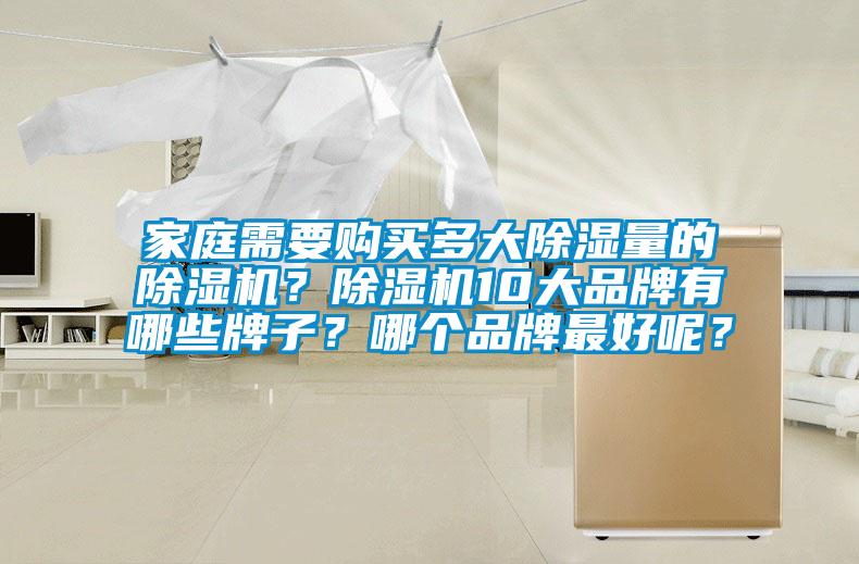 家庭需要購買多大除濕量的除濕機？除濕機10大品牌有哪些牌子？哪個品牌最好呢？